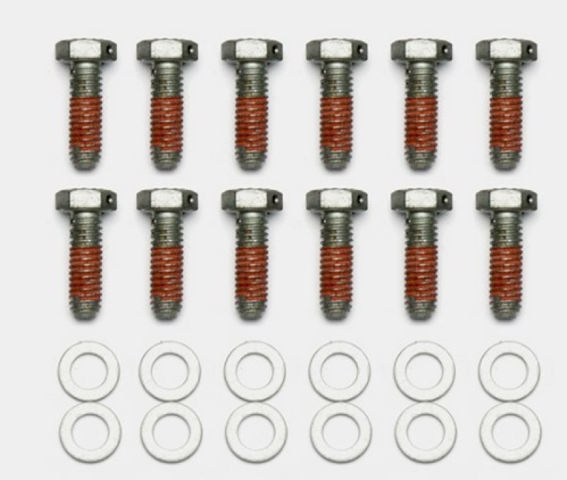 Wilwood Bolt Kit - 5/16-18 x 1.00 LG - 12 pk - 230-14086