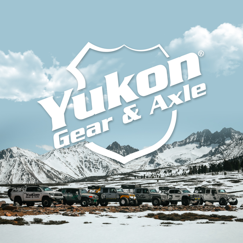 Yukon Gear Master Overhaul Kit 2017+ Ford F-350/450/550 Super Duty 300mm Rear - YK DM300