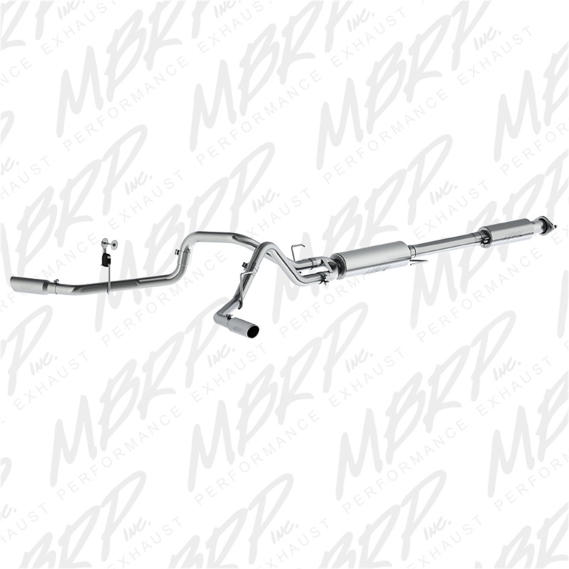 MBRP 2015 Ford F-150 5.0L 3in Cat Back Dual Split Side Exit T409 Exhaust System - S5257409