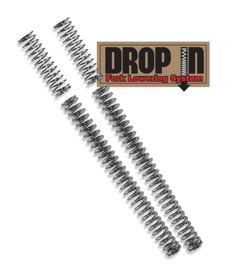 Progressive Metric Drop In Fork Lowering Spring Kits - 10-2200