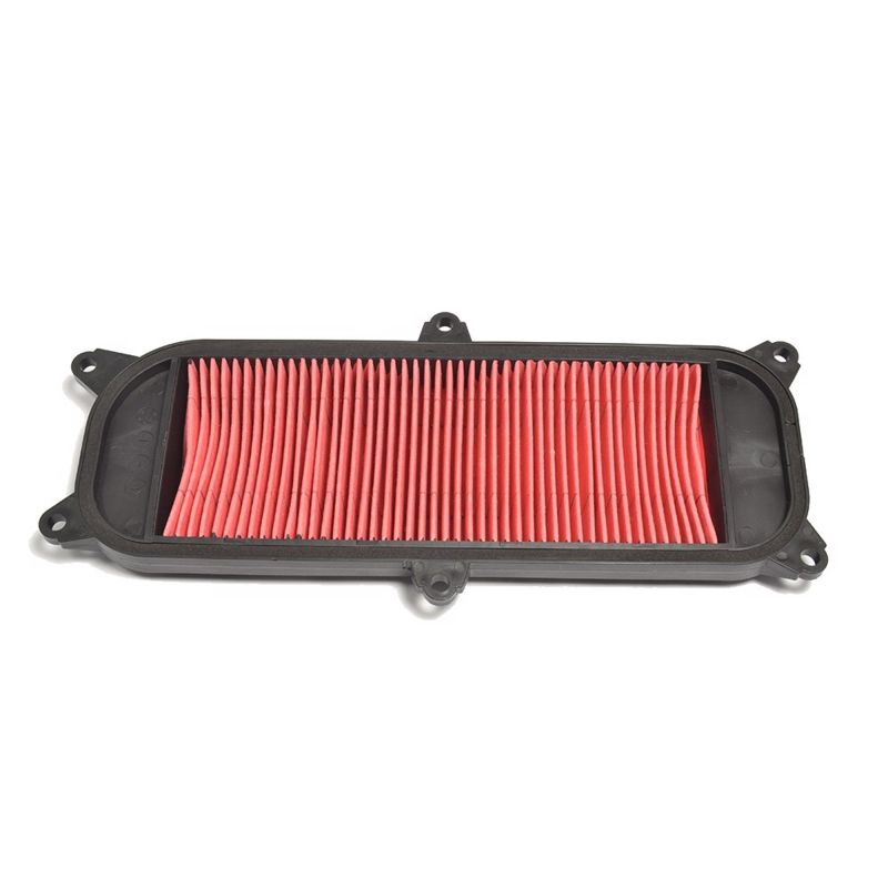 Athena 03-04 Kymco 4T 250 Air Filter - S410210200078