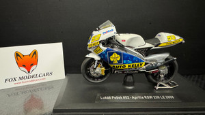 Aprilia RSW 250 LE, 2008, #52, L.Pesek