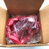 BELL & HOWELL 82.22472 REV B SERVO MOTOR - NEW