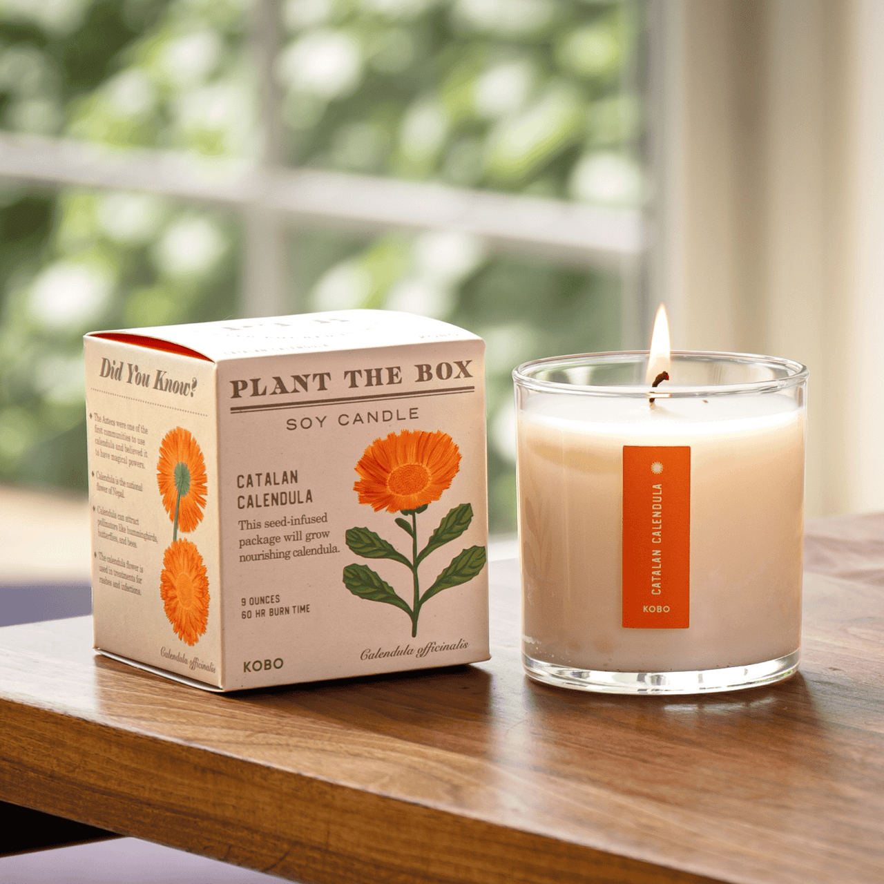 KOBO Candles Catalan Calendula Candle - Thumbnail 3