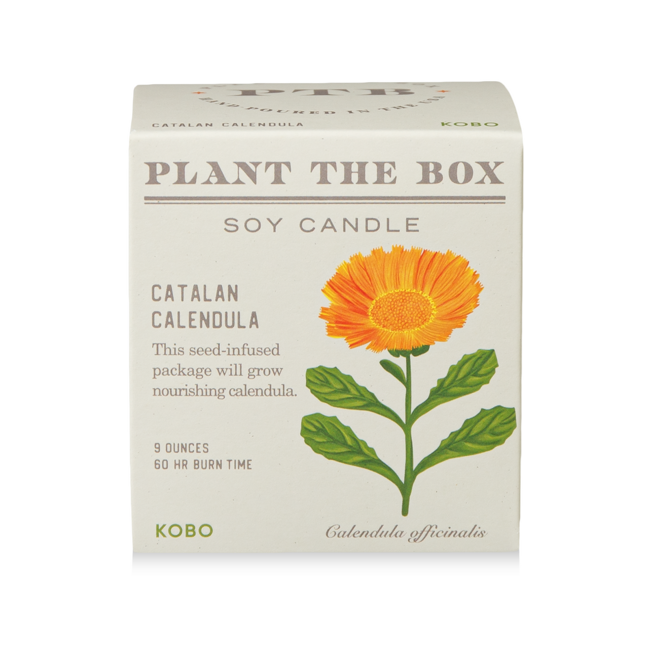 KOBO Candles Catalan Calendula Candle - Thumbnail 5