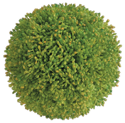 4" Sedum Ball, Green	