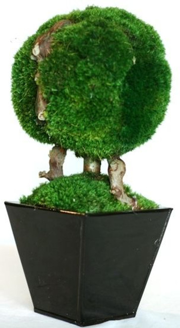 Topiary Moss Ball Single 13" Topiary Moss Ball Single 13"