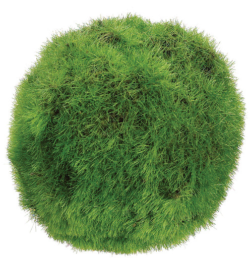 3"Moss Ball