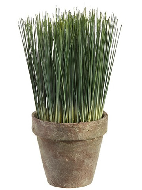 10" Grass in Terra Cotta Pot  Green