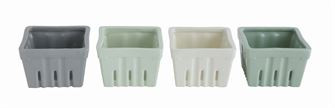 Square Berry Bowls