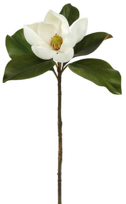 Magnolia Stem 24'', White