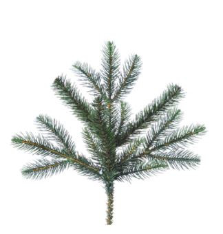 12" New England Pine Spray