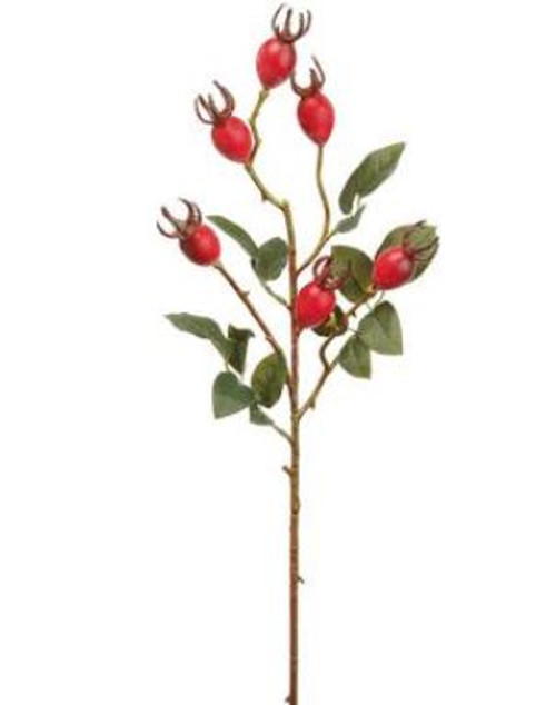 28" Rosehip Spray,  Burgundy