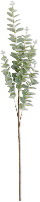 Light Green Gunnii Eucalyptus Stem, 36"