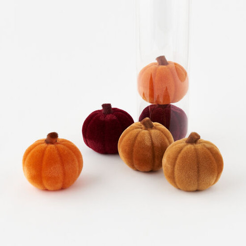 Harvest Flocked Pumpkin, Set of 6