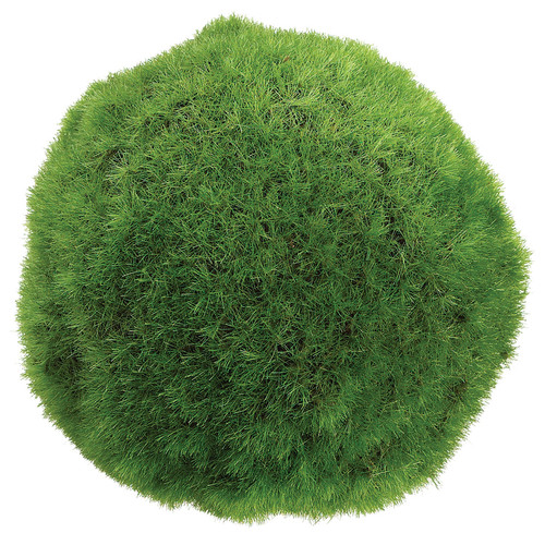 4" Moss Ball 4" Moss Ball