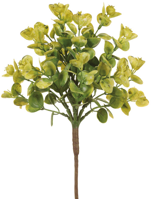 17" IHI Plant Spray, Light Green