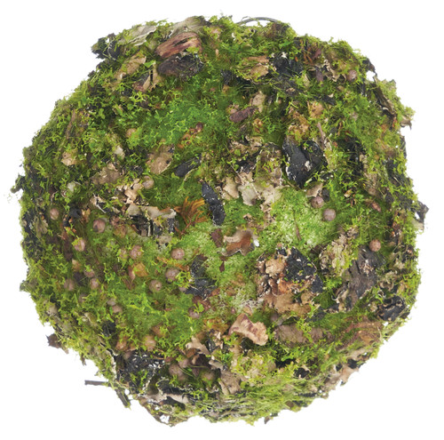 3" Moss/Lichen Orb 