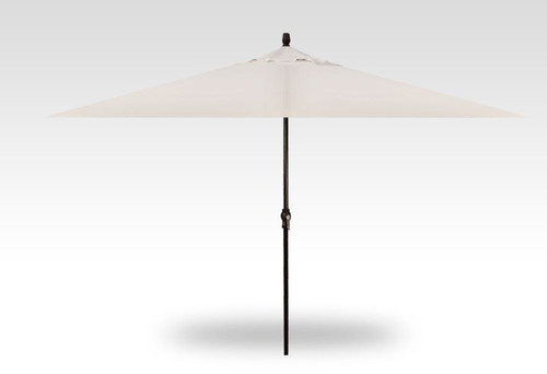 8 X 11 Rectangular Umbrella, Vanilla Canopy & Black Pole