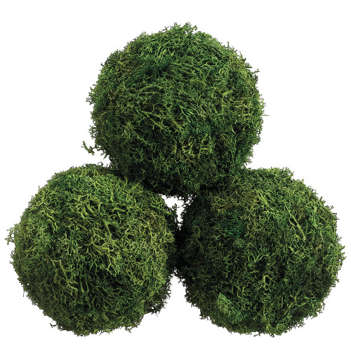 4.3"D Preserved Sphagnum Moss Ball, Set of 3