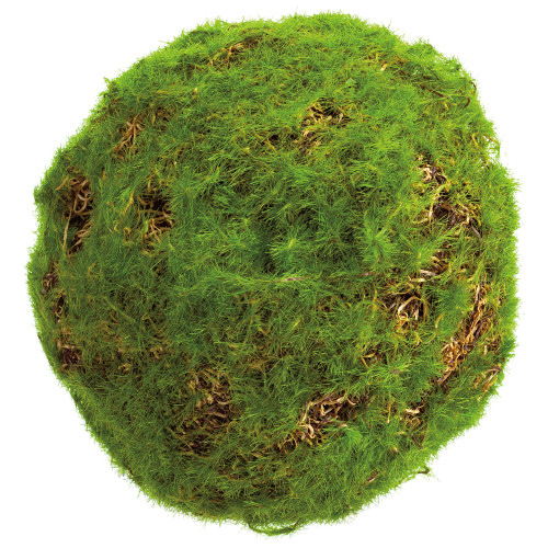 4" Moss Orb, Green