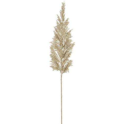 Pampas Grass Spray