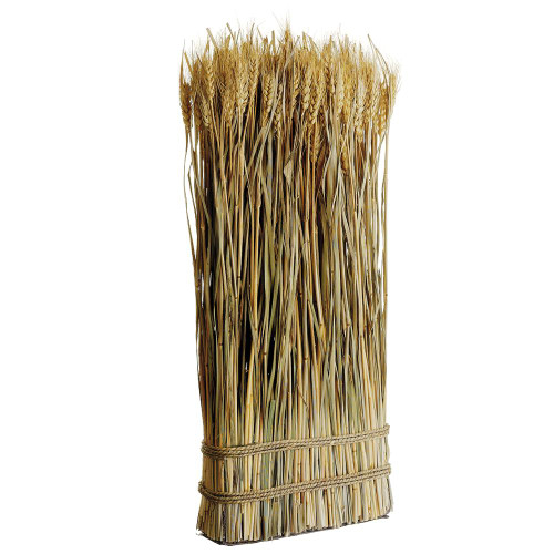 Preserved Wheat/Grass Standing Twig Natural