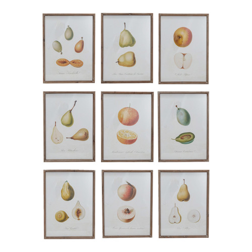 Framed Glass Vintage Fruit Wall Décor Framed Glass Vintage Fruit Wall Décor