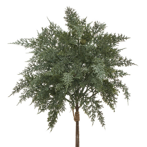 19" Soft Juniper Bundle 19" Soft Juniper Bundle