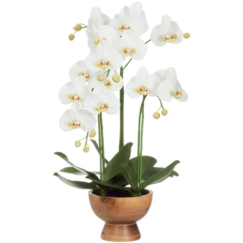 27" Phalaenopsis Orchid Wood Planter