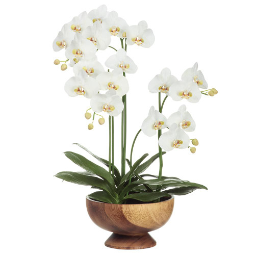 32" Phalaenopsis Orchid Wood Planter