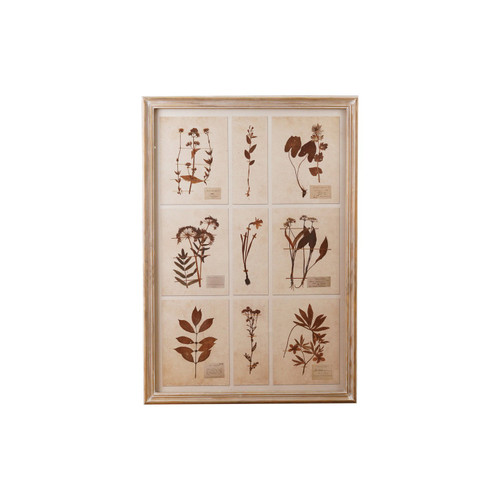 Wood Framed Glass Botanicals Print