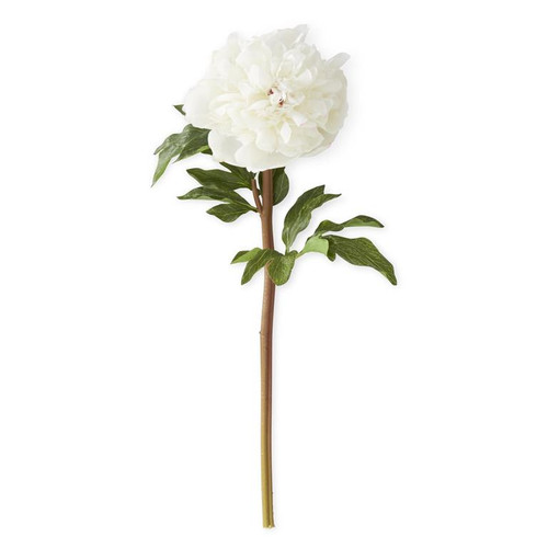 White Charm Real Touch Peony Stem