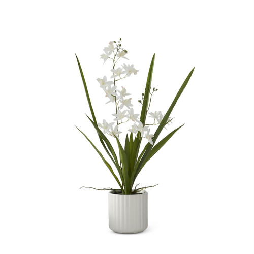 Real Touch White Orchid in Pot, 21.75"
