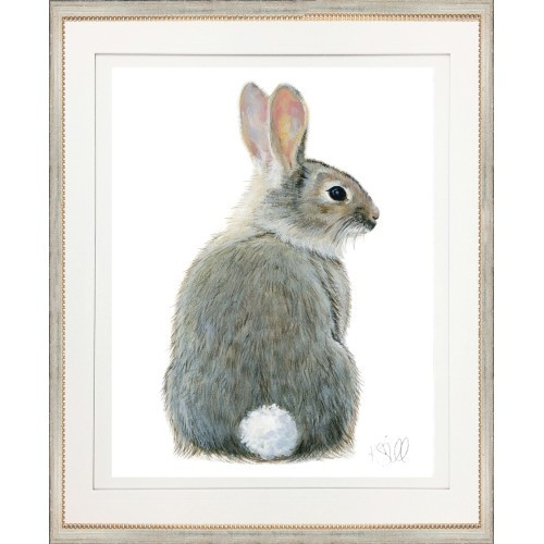 Rabbit 1