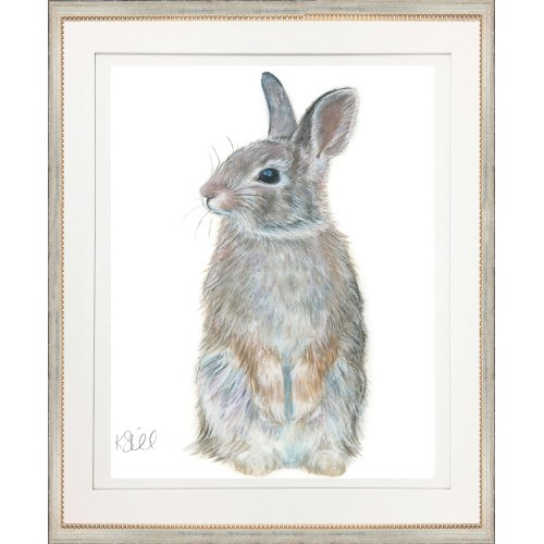 Rabbit 2