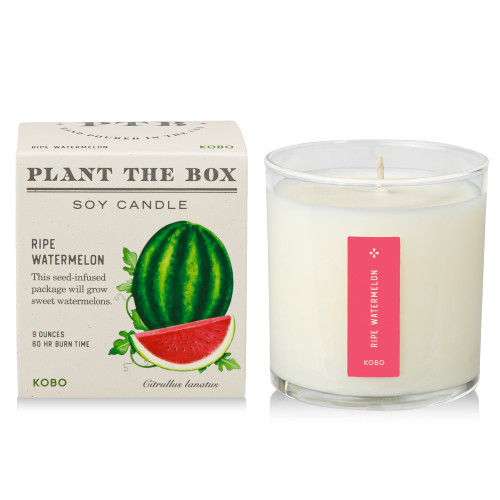 Ripe Watermelon - Plant The Box Candle
