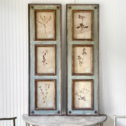 Framed Botanical Collection Panel