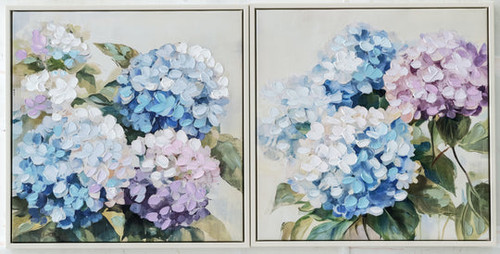Hydrangea