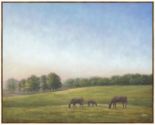 Evening Pasture
