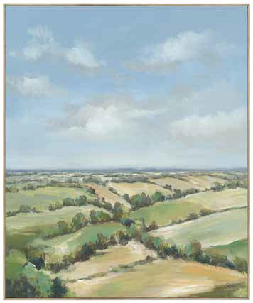Distant Fields