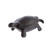 Turtle Key Box