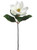 24" Magnolia Spray, Cream