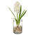 14" Hyacinth in Glass Vase With Bulb, White