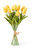13.5 Inch Light Yellow Real Touch Mini Tulip Bundle