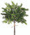 16" Juniper Bundle, Green