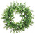 16" Eucalyptus Wreath, Green