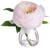 7.5" Peony in Glass Vase, Soft Pink