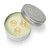 Tried & True Eucalyptus & Sage Large Tin Candle