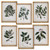 17.72"L x 23.62"H Framed Botanical Fern Print Wall Art